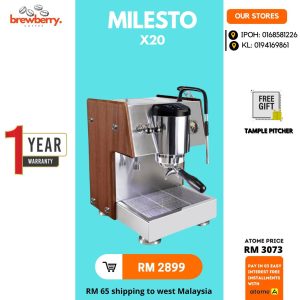 Milesto X20