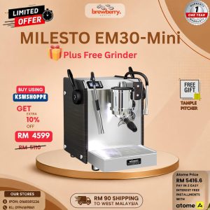 Milesto EM30-Mini